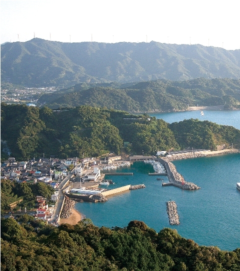 栖原漁港を望むの画像