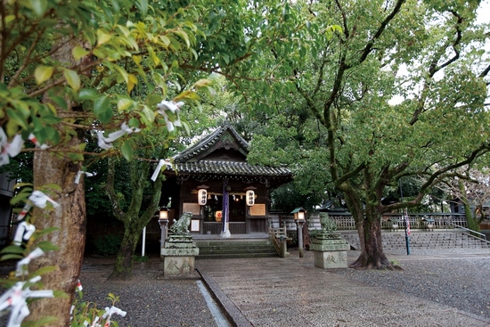 顕国神社の画像