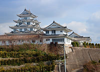 湯浅城の画像1