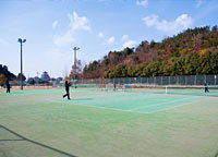 湯浅城公園の画像2
