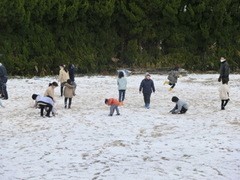 雪1
