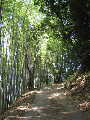 糸我峠