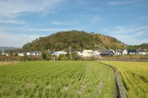 湯浅城跡